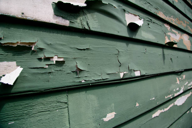 Best Construction Debris Removal  in , MO