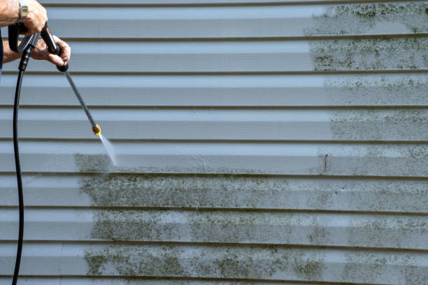 Best Demolition Debris Removal  in , MO