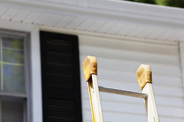 Best Dumpster Rental Services  in , MO