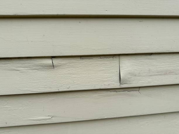 Best Foreclosure Cleanout  in , MO